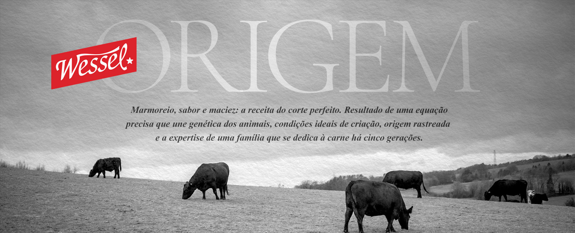 Marmoreio, sabor e maciez: a receita do corte perfeito.Resultado de uma equação precisa que une genética dos animais, condições ideais de criação, origem rastreada e a expertise de uma família que se dedica à carne há cinco gerações.